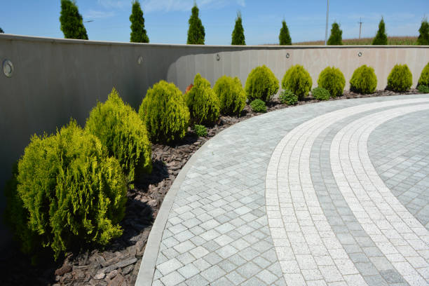 Reasons to Select Us for Your Driveway Paving Requirements in Pierz, MN